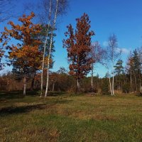 Осенние фрагменты .. :: Татьян@ Ивановна Осенние фрагменты .. :: Татьян@ Ивановна