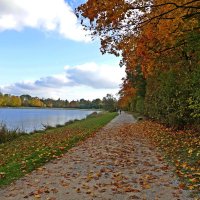 Люблю я осень яркую, красивую, цветную… Нарядную, прекрасную и ярко золотую!... :: Галина 