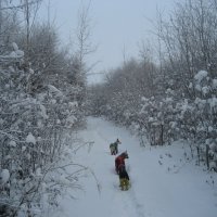 Зимние прогулки :: Anna Ivanova Зимние прогулки :: Anna Ivanova