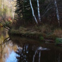 Щука попалась! :: Сергей Никифоров