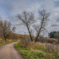 Под небом октября... :: Владимир Жданов