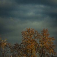 * :: Nikolai 888 * :: Nikolai 888