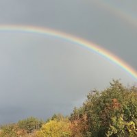 Олень пришел полюбоваться на радугу :: Gen Vel