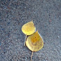 два :: Мария 