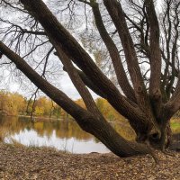 ***** :: юрий поляков