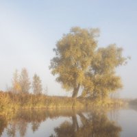 осенняя симметрия :: Максим Вышарь