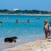 ... :: Светлана Ищенко