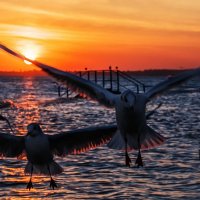 Привет :: Ирина 