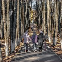 Солнечный октябрь. :: Aquarius - Сергей Солнечный октябрь. :: Aquarius - Сергей