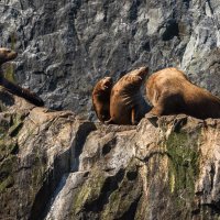 ... :: Жора Житников