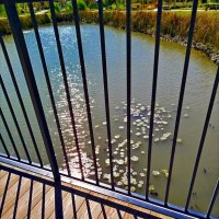 Тени! :: Надежда 