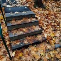 По всем приметам осень :: Андрей Лукьянов По всем приметам осень :: Андрей Лукьянов