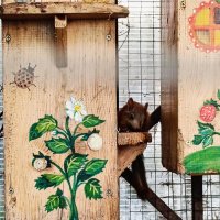 белки в  монастыре :: Галина R...