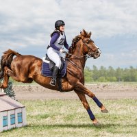 Кросс :: SanSan 