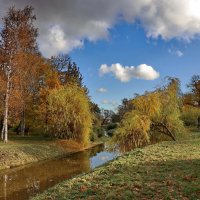 Осенний парк :: Сергей 