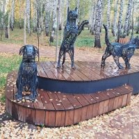 Красиво :: Георгиевич 