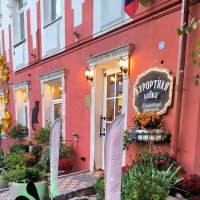 В Зеленоградске котики везде! :: Ольга 