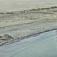 Одинокий :: Галина Шеина-Мюльдорфер Одинокий :: Галина Шеина-Мюльдорфер