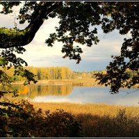 *** :: Aleksandr Gal