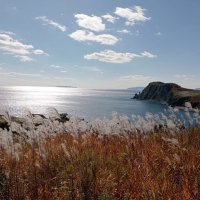 У моря :: Елена Семигина У моря :: Елена Семигина