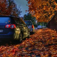 леди...ОСЕНЬ... :: Георгий Никонов