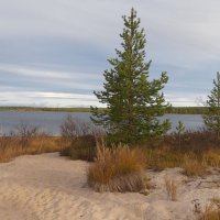 Осень у Имандры :: Ольга 