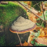 . . . :: Руслан 