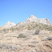 Природа Крыма :: Amazing Cosmea