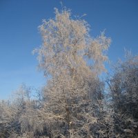 Зима :: Anna Ivanova Зима :: Anna Ivanova