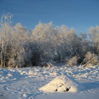 Хатка ондатры под снегом :: Anna Ivanova