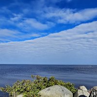 Озеро Белое. :: Михаил Свиденцов