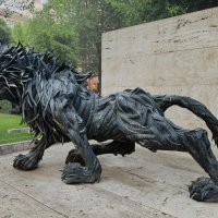 Лев :: Андрей Город