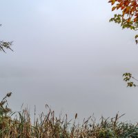 Туман 2 :: Игорь Протасов