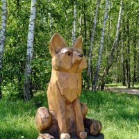 Волк в липовой роще :: Валерий Судачок