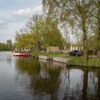 Весеннее настроение... :: Николай Гирш Весеннее настроение... :: Николай Гирш