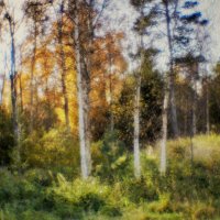 Tallinn, Fotograaf Arkadi Baranov, FEP, Estonia :: Аркадий Баранов Arkadi Baranov Tallinn, Fotograaf Arkadi Baranov, FEP, Estonia :: Аркадий Баранов Arkadi Baranov