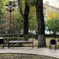 ***в осеннем парке*** :: Olga Oskolkova ***в осеннем парке*** :: Olga Oskolkova