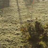 па-де-де по инею :: sv.kaschuk 