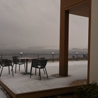 На озере :: redfox 