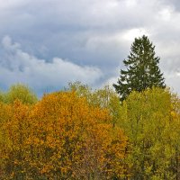 Октябрь... :: Светлана 