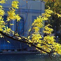 Октябрь :: Владимир59 