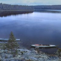 Белая ночь :: Andy 