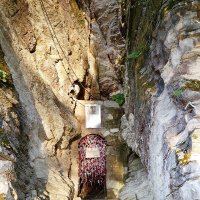 ГРОД МАЦЕСТА :: Tata Wolf