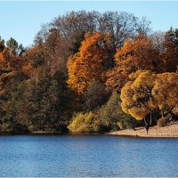 Осень на озере... :: Анатолий ИМХО