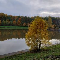 Из недопоказанного в октябре :: Андрей Лукьянов