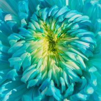 *** :: Виктор Иванович Чернюк *** :: Виктор Иванович Чернюк