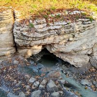 МАЦЕСТА :: Tata Wolf