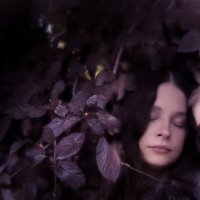 Сон в осеннюю ночь :: Максим 