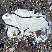 Рисует мороз :: Veera V