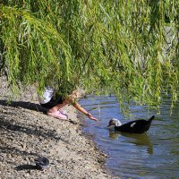Доверие :: Татьяна Лютаева Доверие :: Татьяна Лютаева